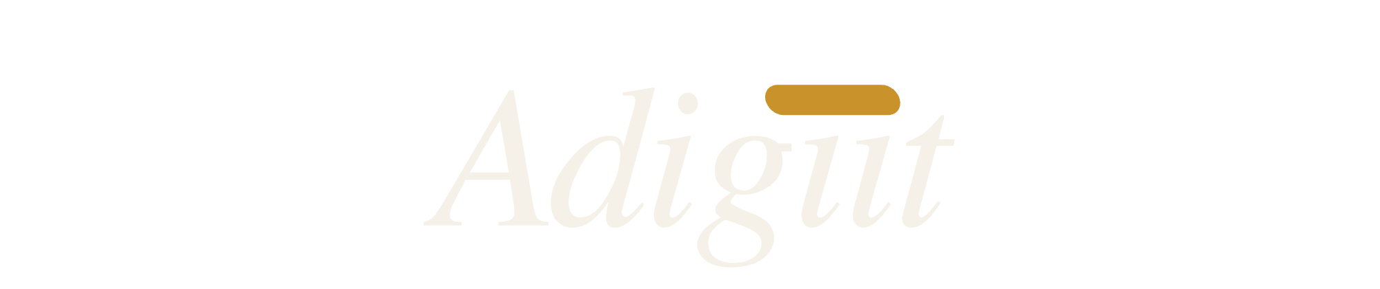 Adigiit
